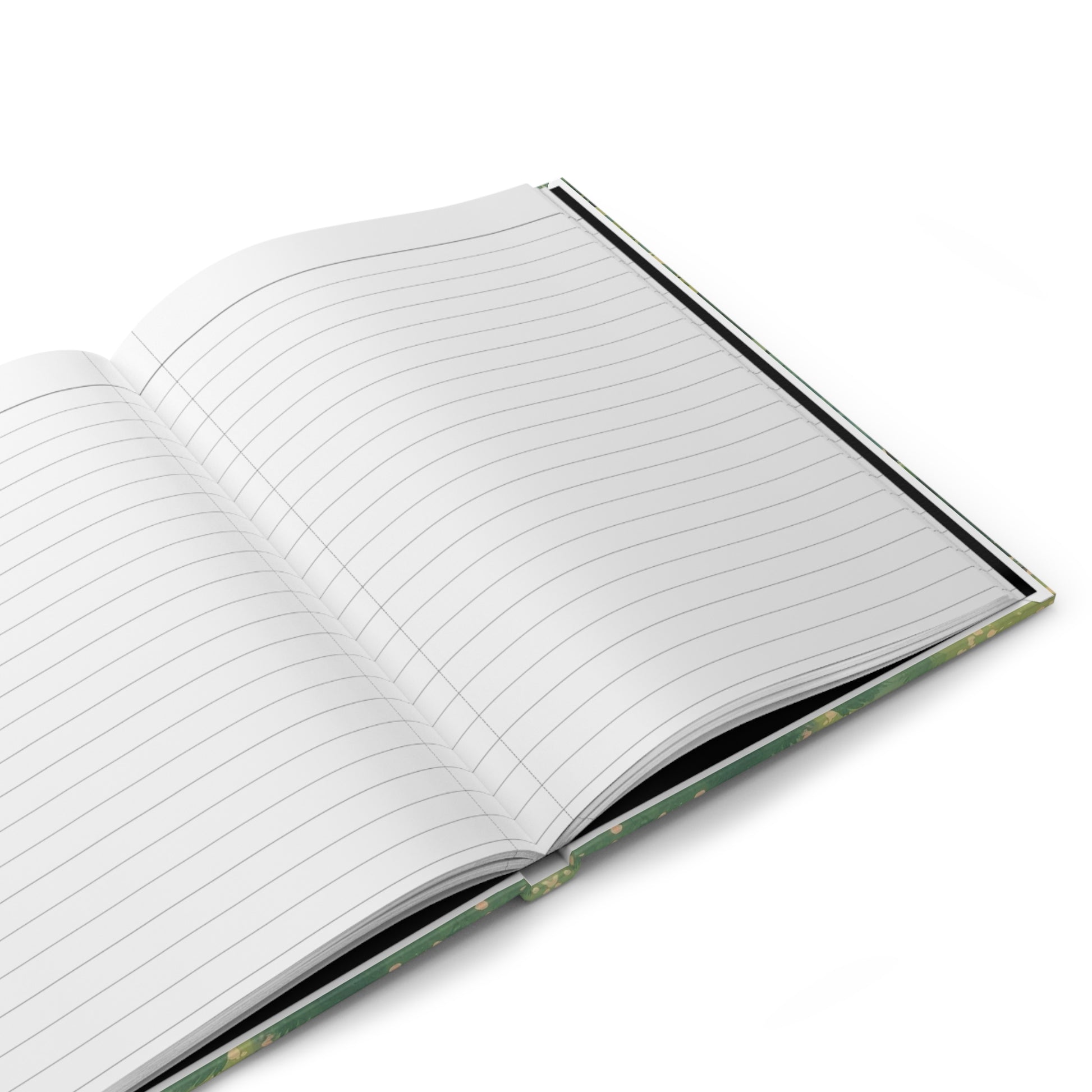 Open notebook with lined pages on a white background