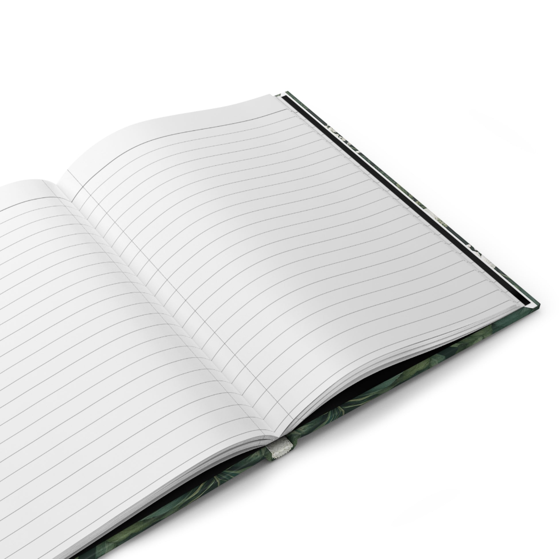 Open notebook with lined pages on a white background